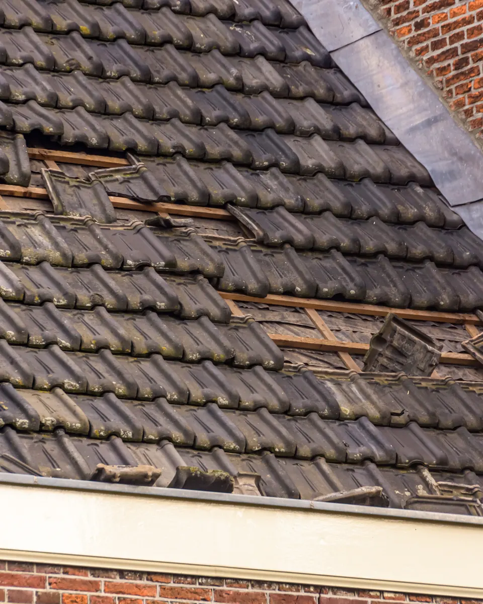 Roof Repair