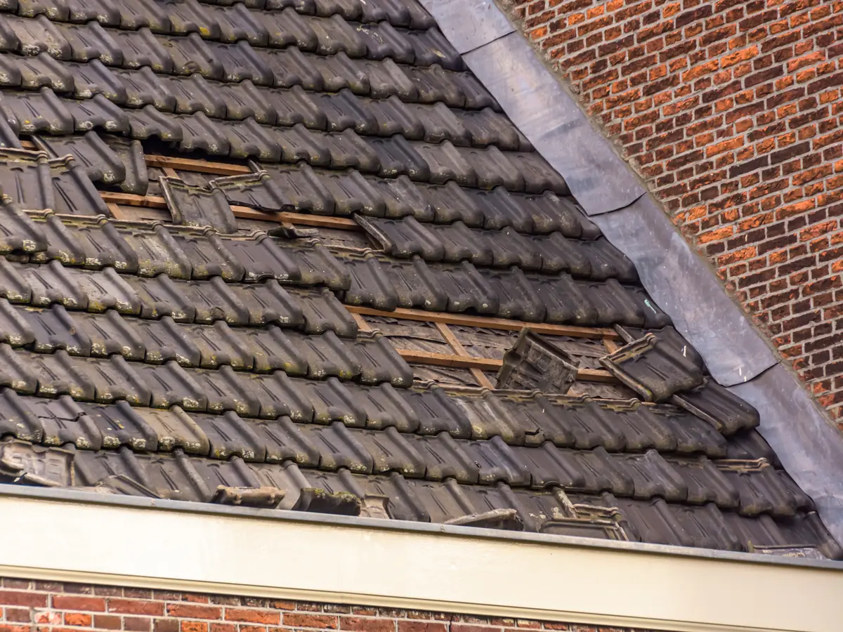 Roof Repair by LA Stevens Property Maintenance (5)